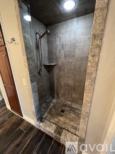 A bathroom with a walk-in shower and a wooden door.
