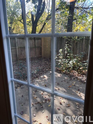 A view from inside a room looking out through a window at a backyard with a wooden fence and trees.