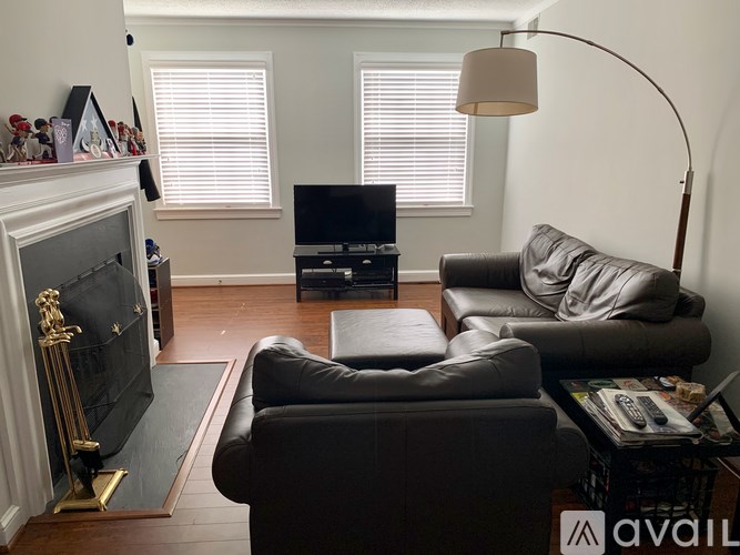A living room with a fireplace, two couches, and a television.