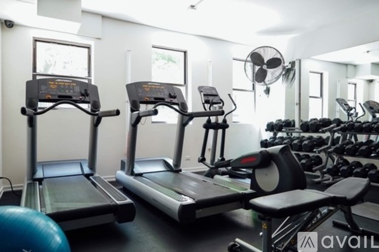 A gym with treadmills, elliptical machines, and weights.
