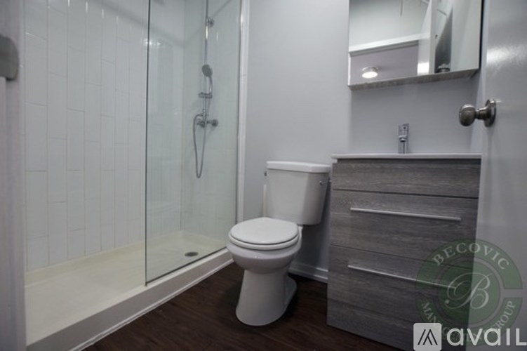 A white toilet sits next to a walk-in shower in a bathroom.