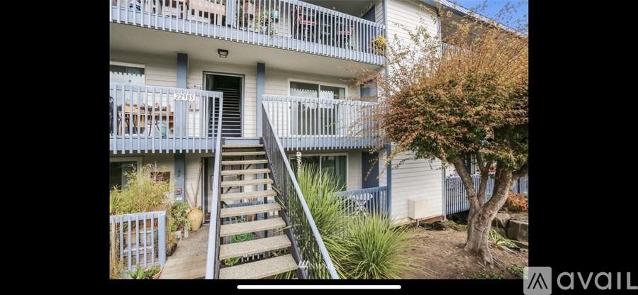 A balcony of a building with a tree and a staircase leading to it.