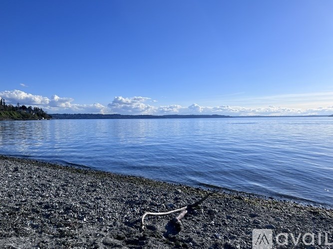 A beach with a clear blue sky and calm water.