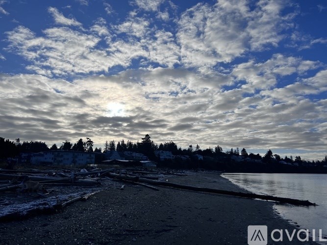 A beach scene with a cloudy sky and trees in the distance.