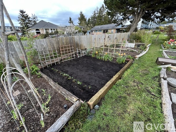 A garden bed with plants growing in it.