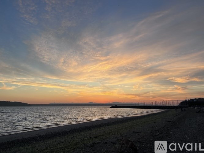 A beach at sunset with a dog on the shore.