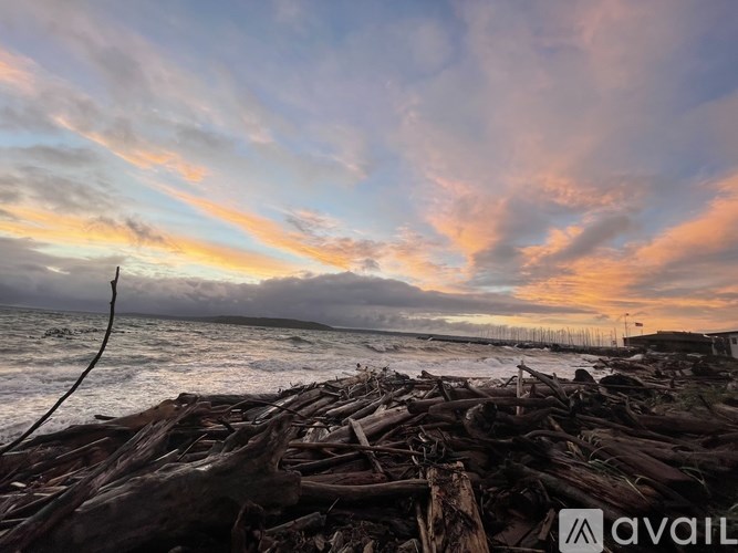 A beach scene with driftwood in the foreground and a cloudy sky.