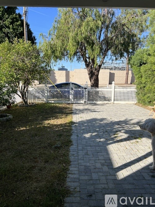 A sunny day at a park with a paved walkway and a metal fence.