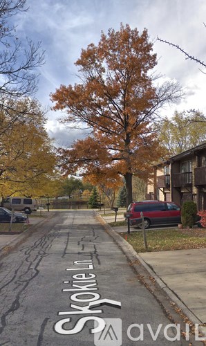 A tree with orange leaves stands on a street with the name Sko¨klin written on the road.