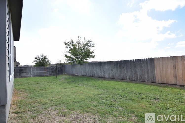 A backyard with a wooden fence and a tree.