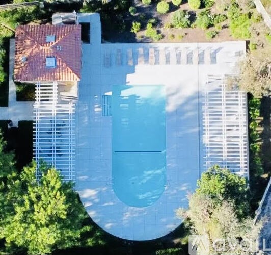A modern house with a swimming pool in the backyard.