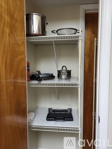 A kitchen pantry with a pot on the top shelf and a book on the bottom shelf.