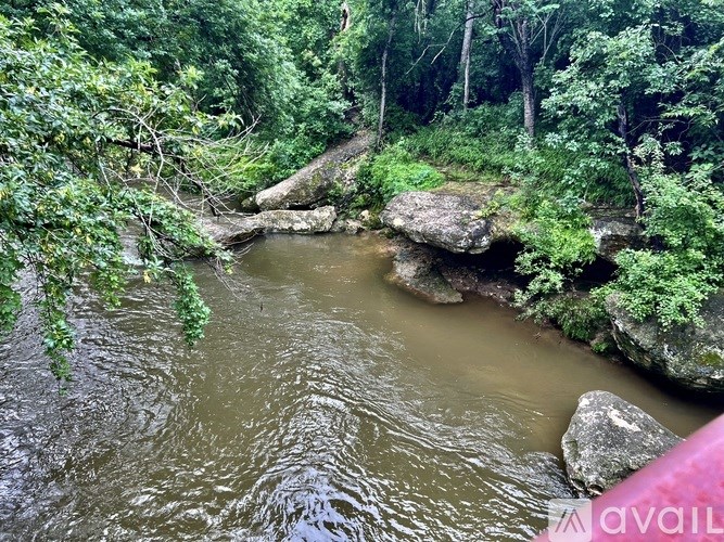 A river flows through a lush green forest.