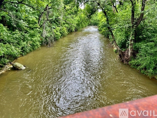 A river flows through a lush green forest.