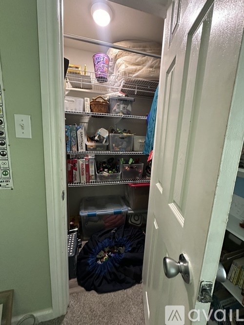 A small, cluttered pantry with a white door.