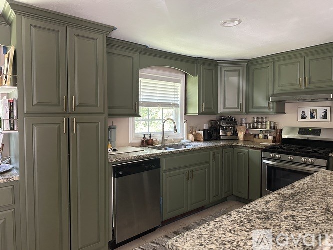 A kitchen with green cabinets and a granite countertop.