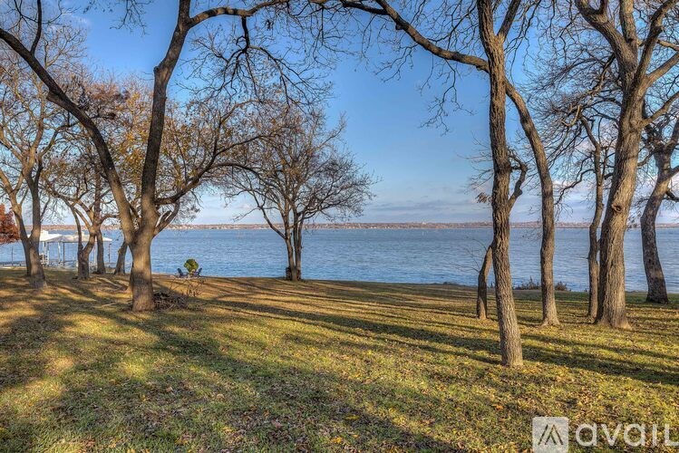 A row of leafless trees stand in front of a body of water.