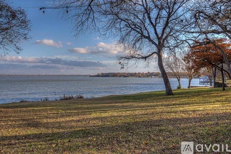 A tree with no leaves stands in a field next to a body of water.