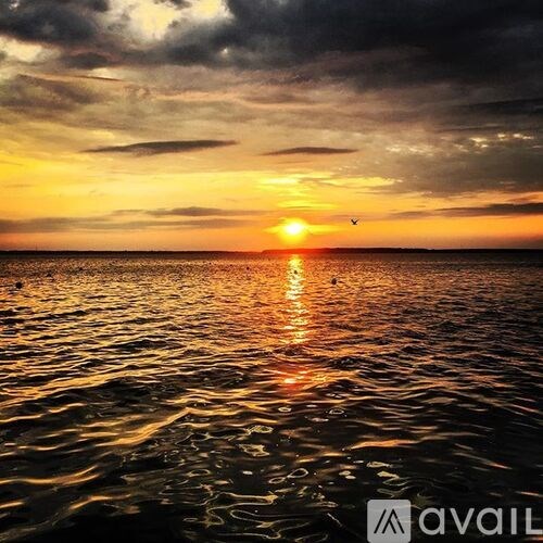 A beautiful sunset over the ocean with a bird flying in the sky.