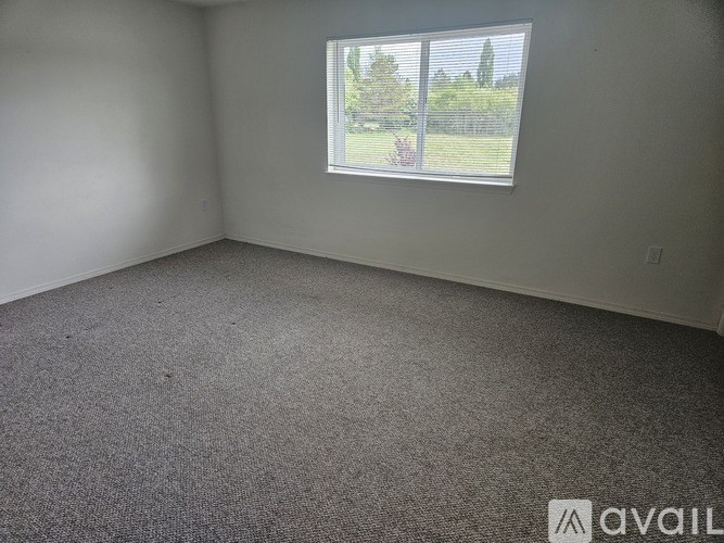 A room with a carpeted floor and a window showing a view of a fence and trees.