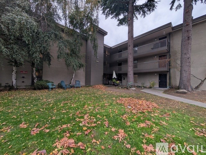 A grassy area with fallen leaves in front of a building.