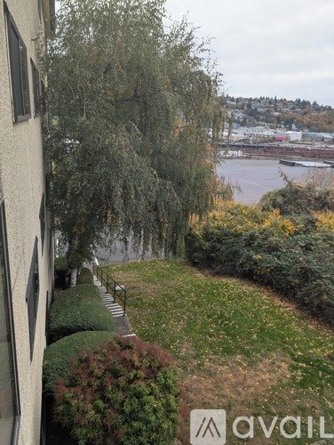 A view from a window of a green lawn and a river.