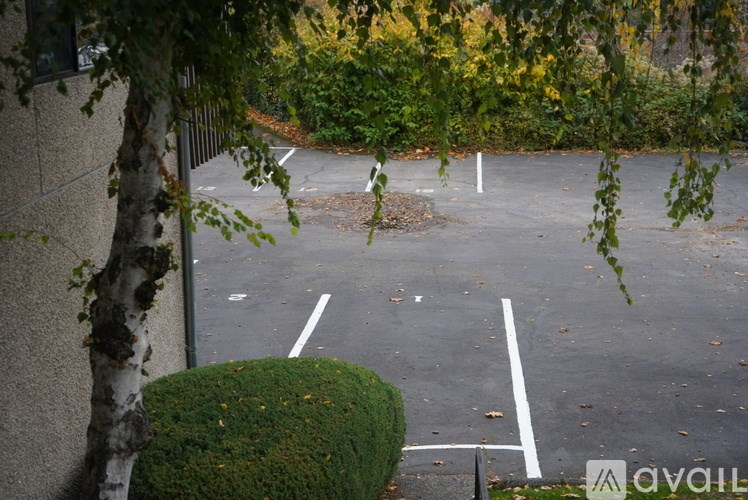 A parking lot with a green bush and a tree in the foreground.