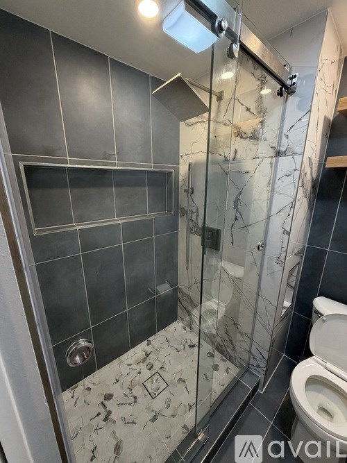 A bathroom with a walk-in shower and a toilet.