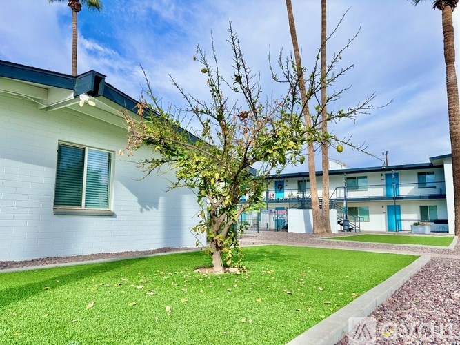 A tree with green leaves is in front of a white building with blue trim.
