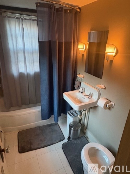 A bathroom with a sink, toilet, and shower curtain.