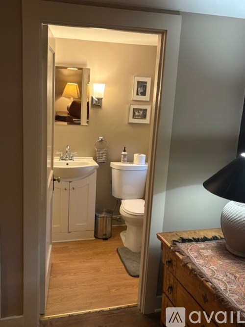 A bathroom with a toilet, sink, mirror, and a rug.