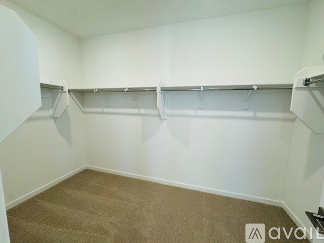 A white closet with a carpeted floor and white walls.