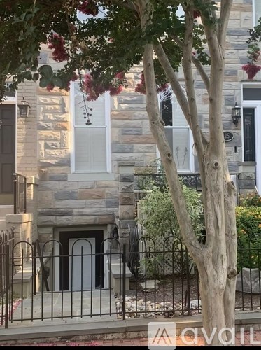 A tree with red flowers hangs over a black iron fence.