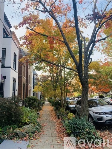 A tree with orange leaves stands in the middle of a sidewalk.