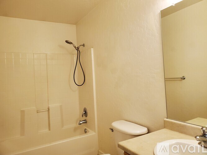 A bathroom with a toilet, a shower with a hose, and a mirror.