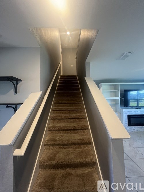 A long staircase with a carpeted runner and white handrails.
