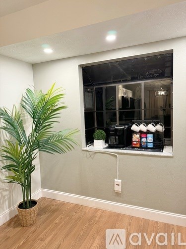 A room with a plant and a window with a shelf.