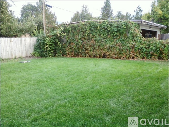 A backyard with a green lawn and a fence.