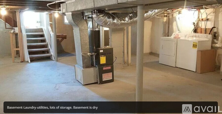 A basement with laundry utilities and storage.