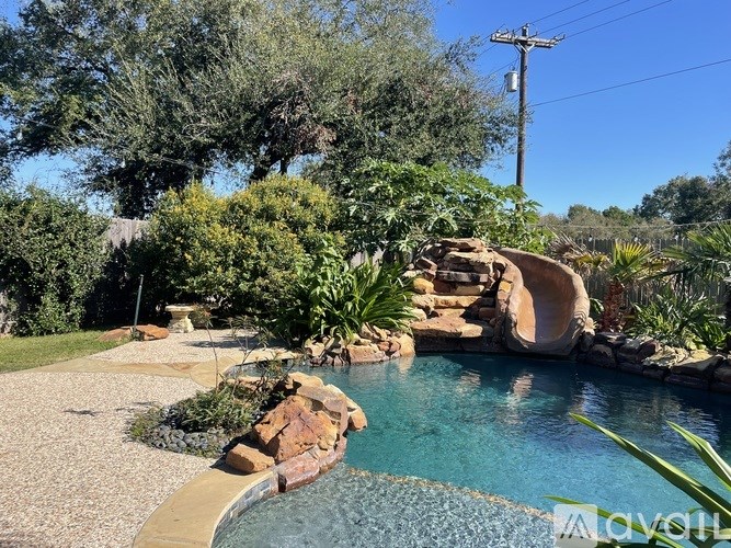 A pool surrounded by rocks and plants in a backyard.