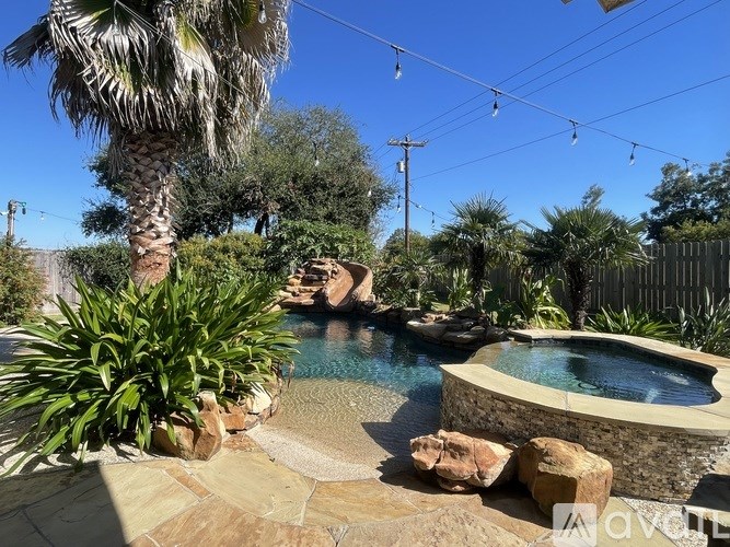 A pool surrounded by rocks and plants with a palm tree in the background.