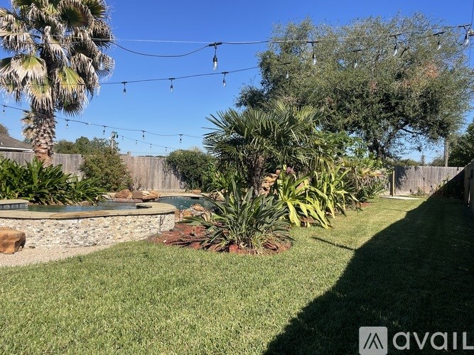 A backyard with a palm tree and a pool.