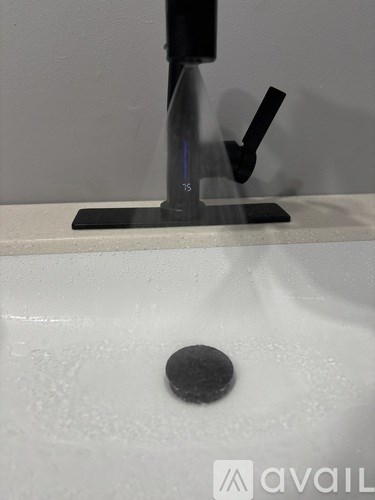 A black soap dish is on a white sink.