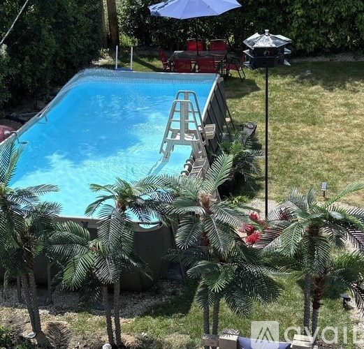 A pool surrounded by palm trees and a ladder leading into the water.