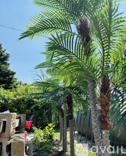 A row of palm trees are in a garden.