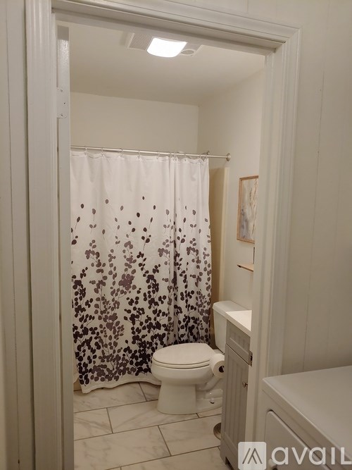 A bathroom with a toilet, sink, and shower curtain.