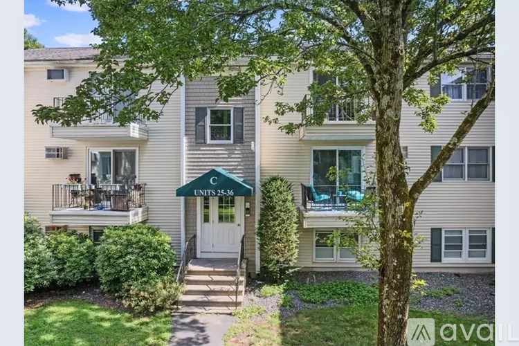 A tree stands in front of a building with a sign that reads "C 25-36 UNITS".