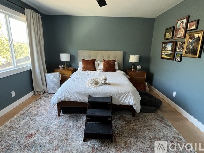 A bedroom with a large bed, a ceiling fan, and a dog on the bed.