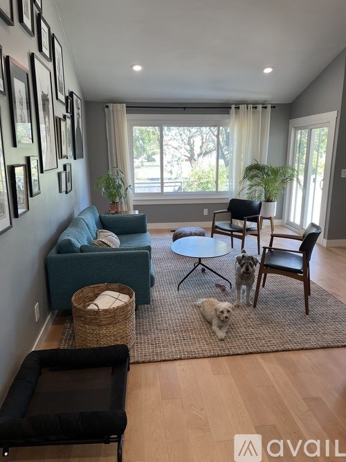 A living room with a blue couch, a black chair, and two dogs.