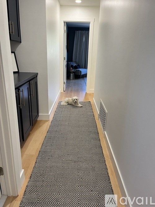 A dog is walking down a hallway with a patterned rug.